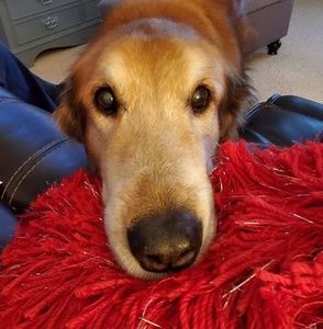 Meet your Posher, Chrissy